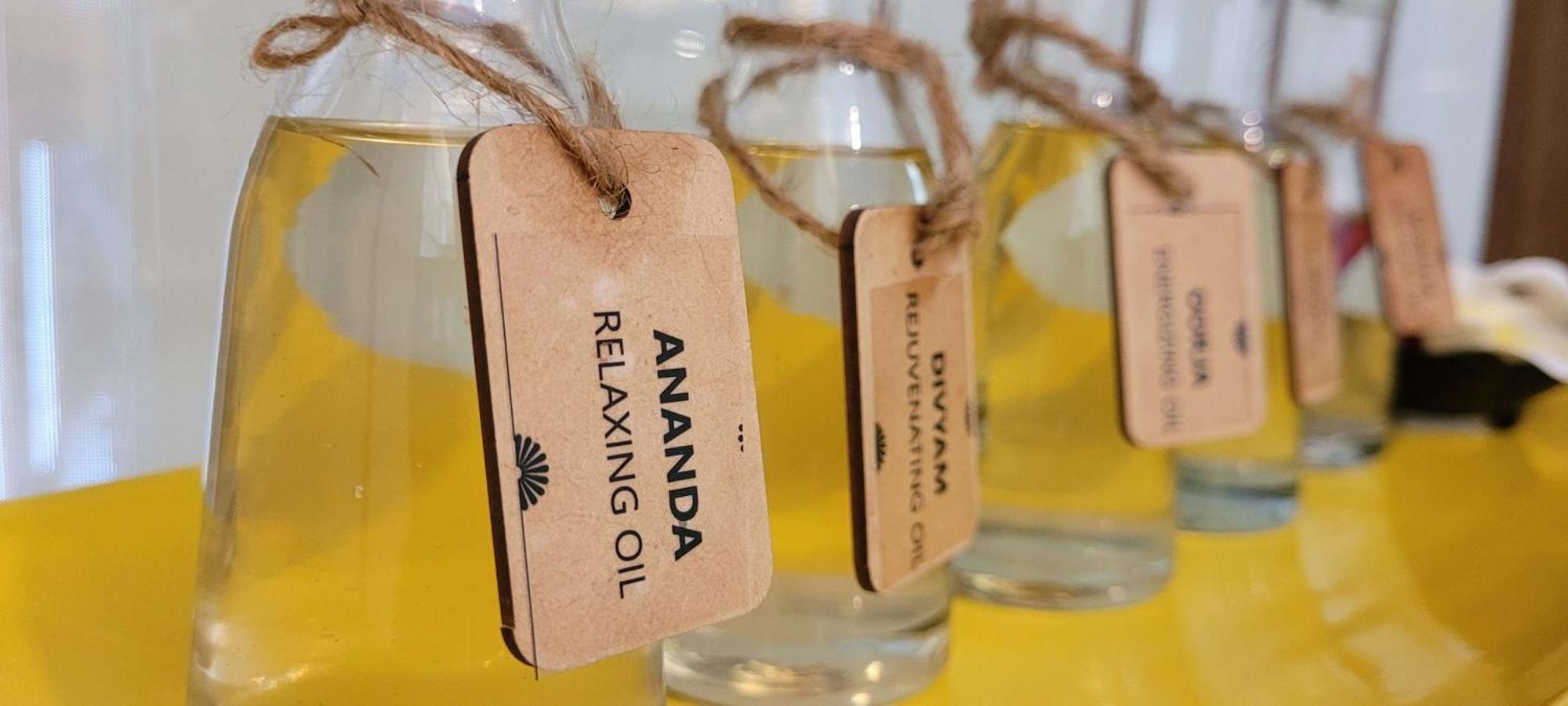 Radisson Blu Hotel, Большая Нойда Экстерьер фото Ananda Hemp Oil